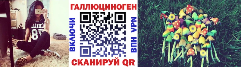 Галлюциногенные грибы MAGIC MUSHROOMS  купить наркотики сайты  Пятигорск 