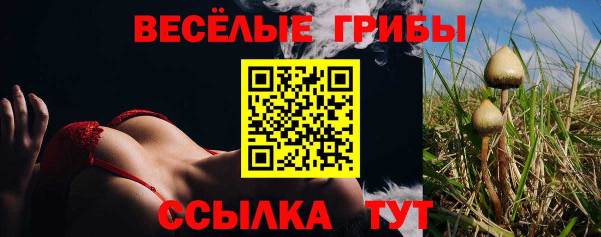 купить наркотик  Галлюциногенные грибы прущие грибы  Вход с VPN  Пятигорск 