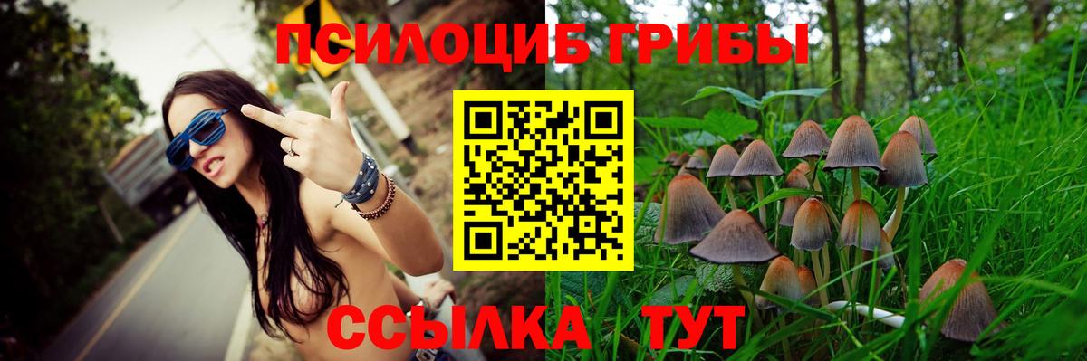 Галлюциногенные грибы Cubensis Пятигорск