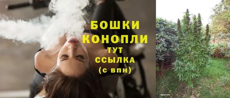 Конопля OG Kush  наркошоп  Пятигорск 